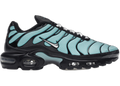 Nike Air Max Plus Aqua Blue