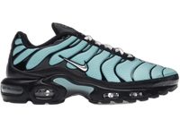 Nike Air Max Plus Aqua Blue